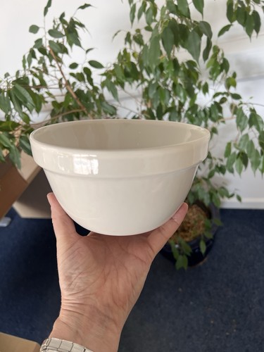 Large pudding basin - pudding,